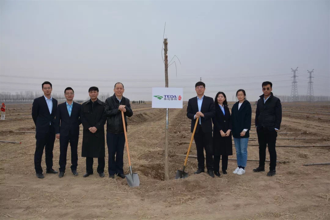 绿水青山就是金山银山--402永利集团咨询董事长带队参加静海区植树造林活动